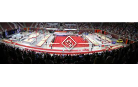 CHAMPIONNAT INTER-DÉPT. GAF- INDIV - PERF